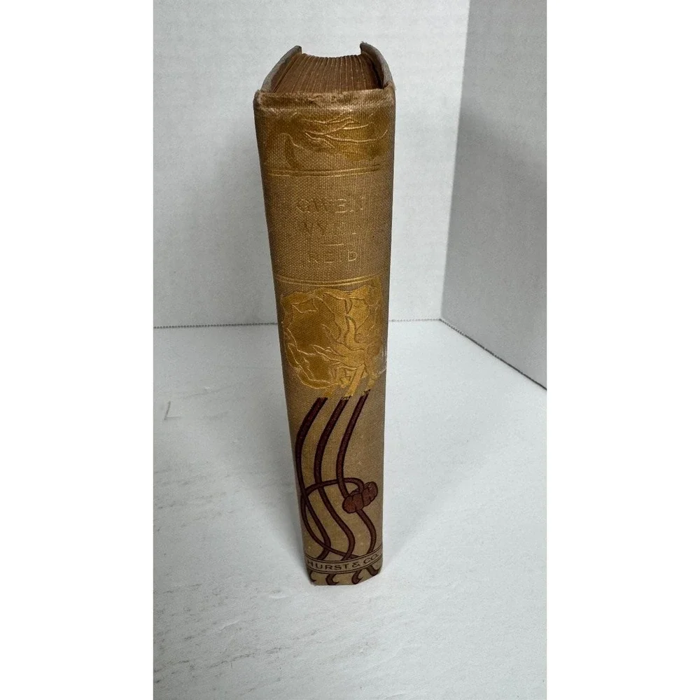 Gwen Wynn: A Romance of Wye Mayne Reid Hurst & Co. Decorative Binding